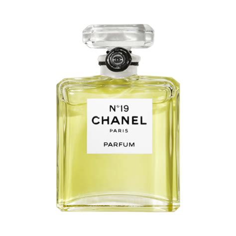 no 19 chanel paris|where to buy Chanel 19.